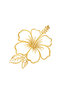 Hibiscus